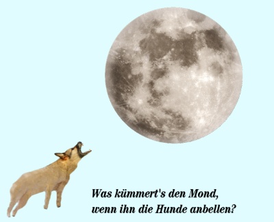 Was kümmert's den Mond, wenn ihn die Hunde anbellen?